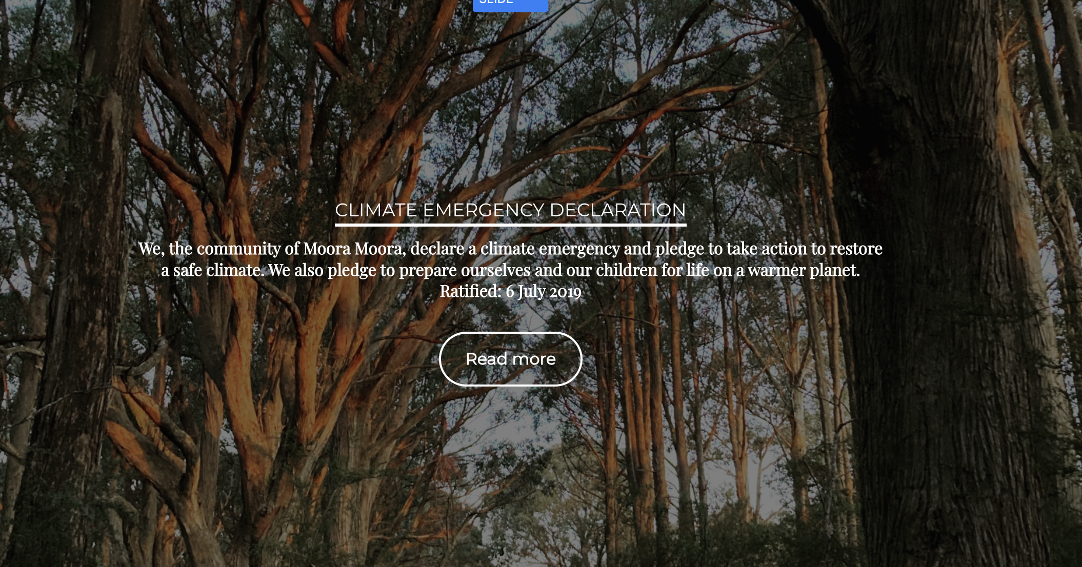 Climate Emergency Declaration